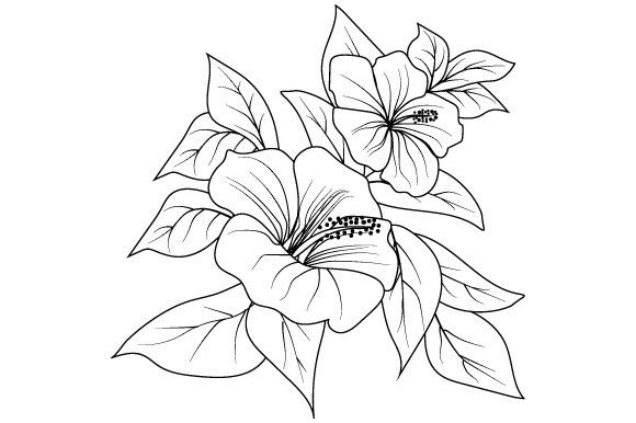 Black White Flower Graphic for Modern Branding
