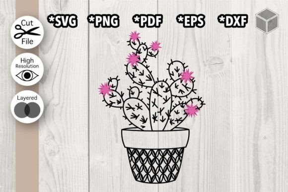 Blooming Cactus Graphics for Modern Editorial Design
