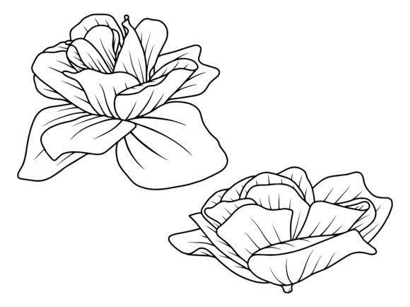 Flower Line Art Free: A Graphic Designer’s Take