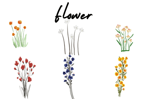 Minimal Flower Graphics Freebie for Spring Content