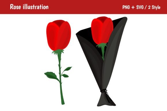 Red Rose Illustration: A Graphic Designer’s Take