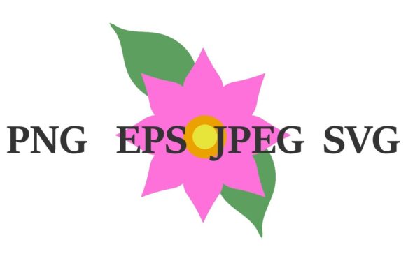 Spring Daisy Graphics for Branding and Marketing