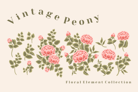 Vintage Rustic Peony Flower Graphics for Local Branding